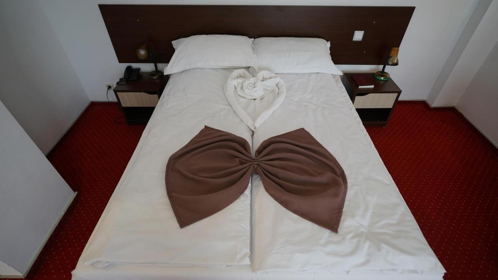 Vila Trandafirul si Liliacul