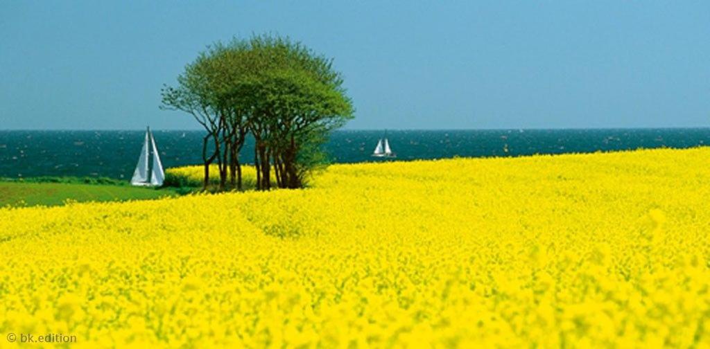 Ferienwohnung - Michaelas HUUS - zwischen den Meeren, Trappenkamp