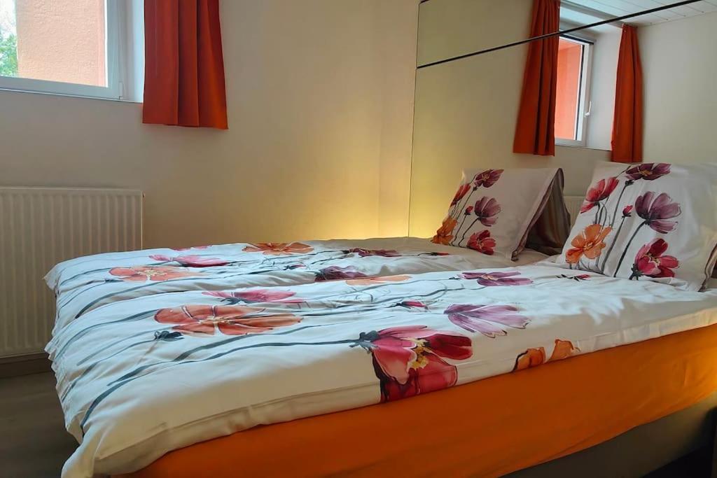 Logement Premium à Salins