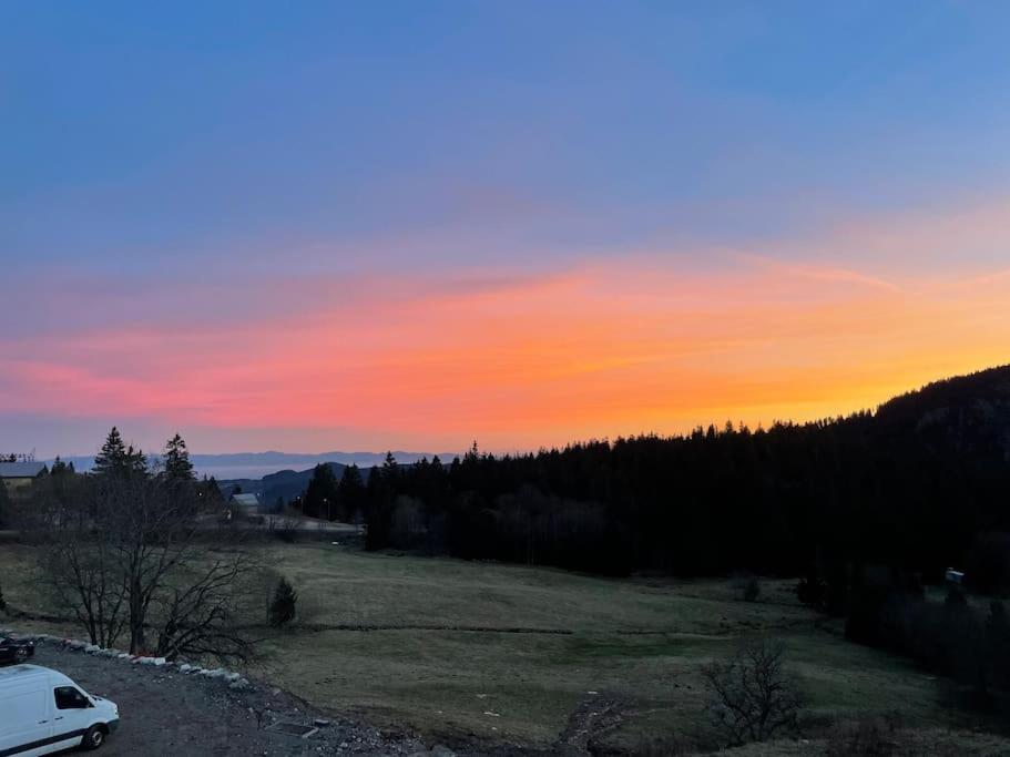 Appartement chaleureux au pied des pistes
