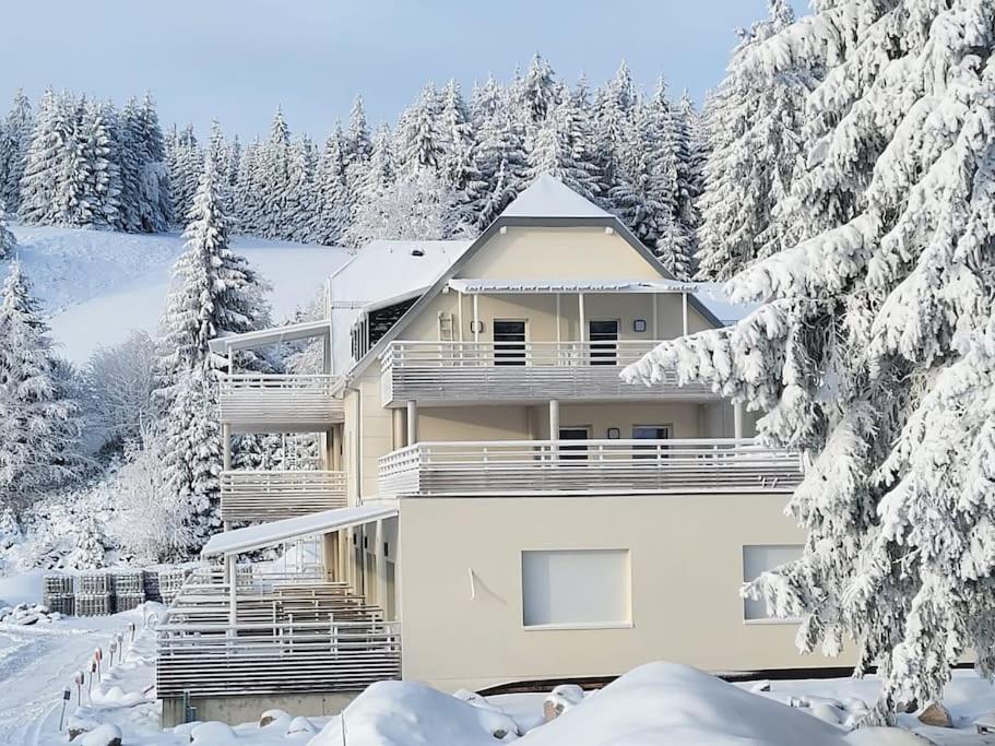 Appartement chaleureux au pied des pistes