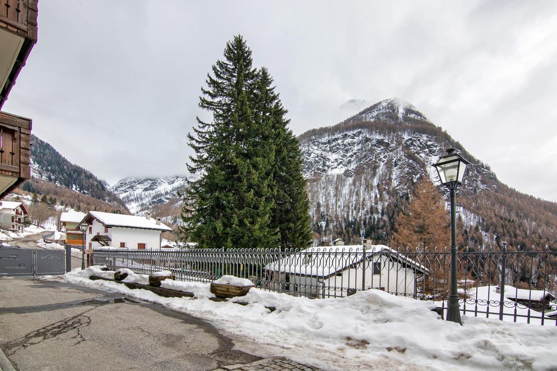 Residence Larice Bianco App n4