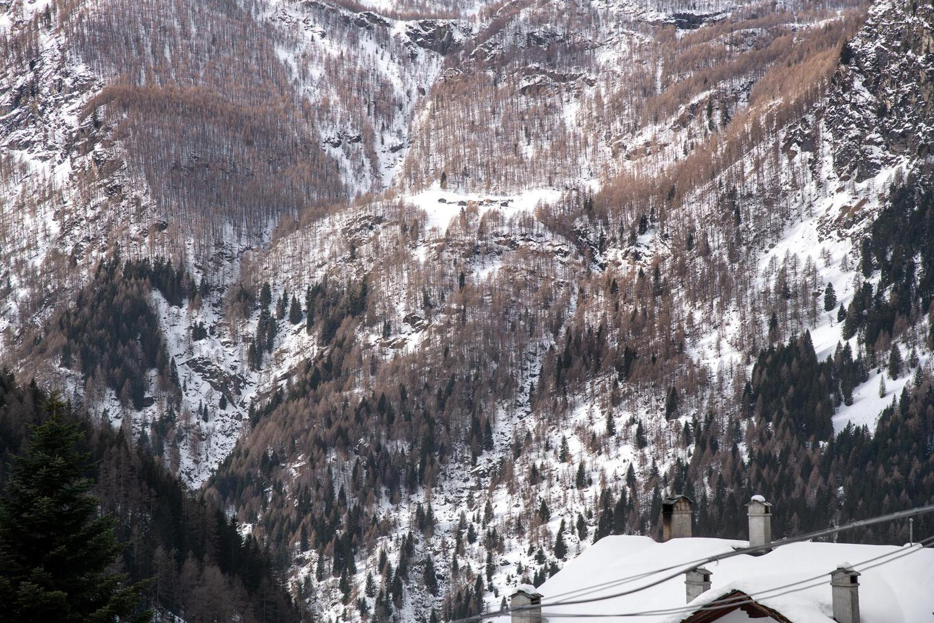 Residence Larice Bianco App n4