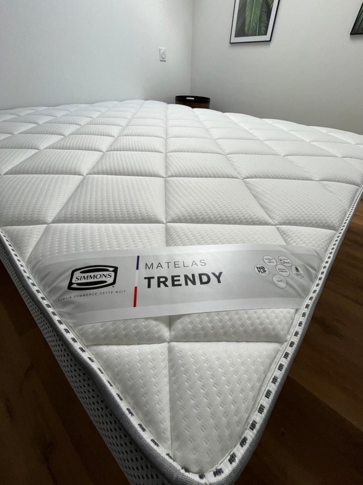 Louis XIV, Le Somail.