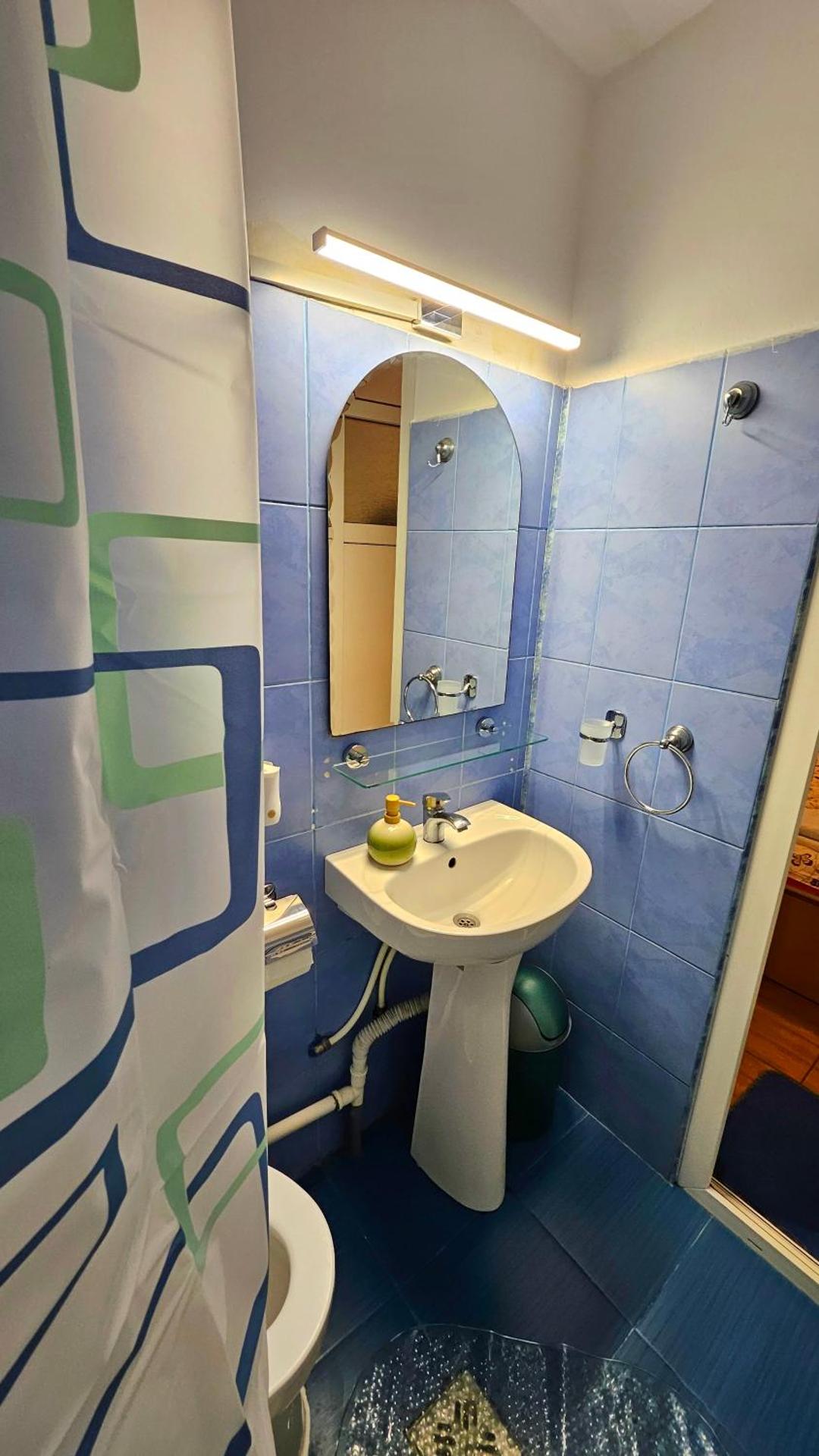 Ultracentral Lozonschi Apartament Parter