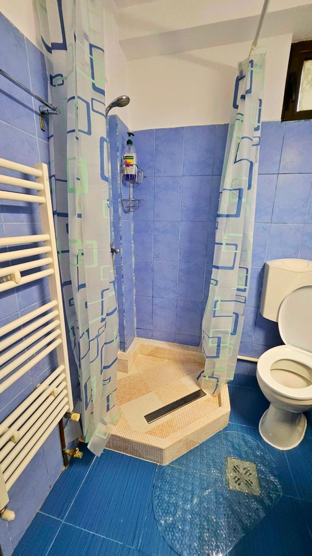 Ultracentral Lozonschi Apartament Parter