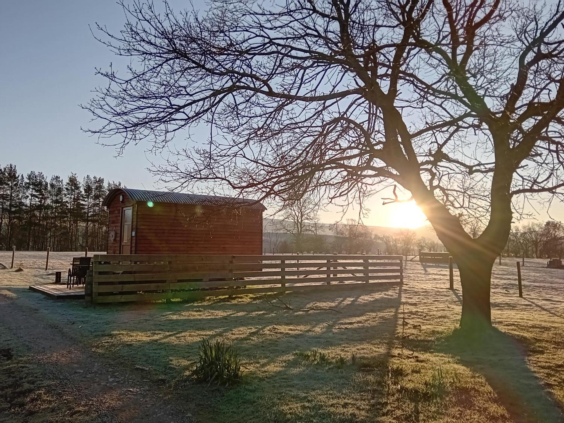 Sunny Mount Shepherd's Hut