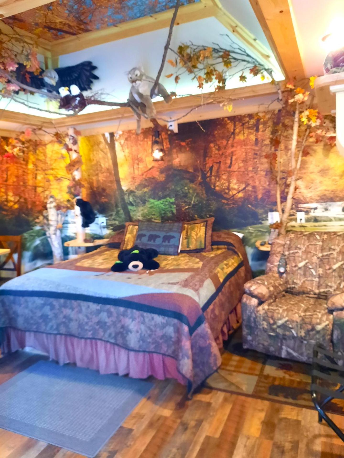 Photo of the whole room