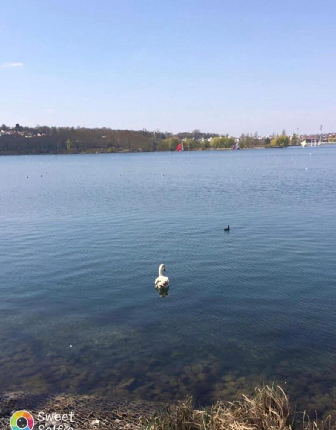 *cocon*indépendant proche de l’aéroport et gares