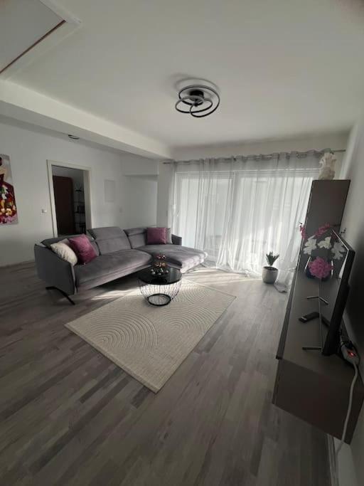 Natur und Stadt, neben Mannheim, Heidelberg, Worms