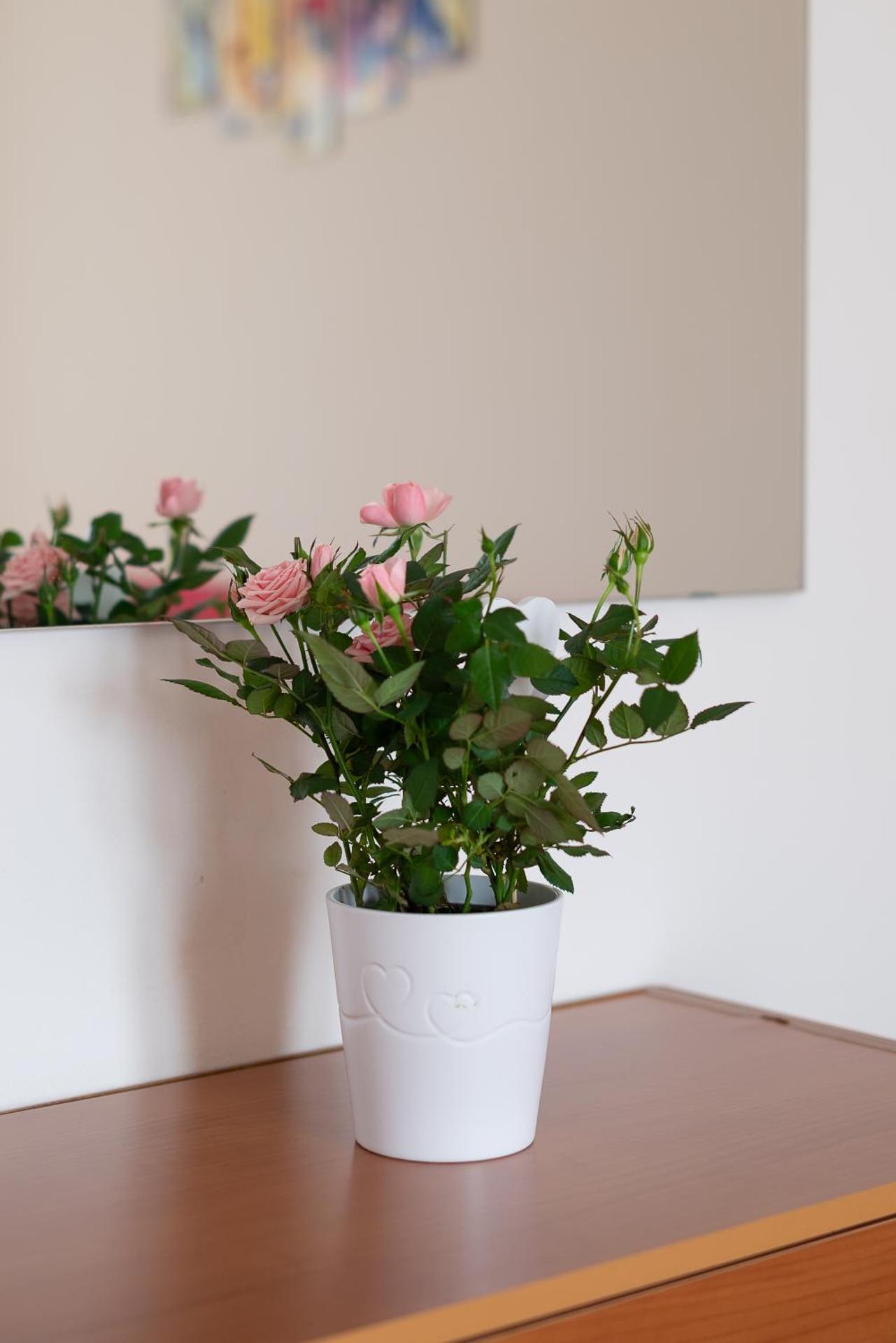 Terrazza baciata dal sole