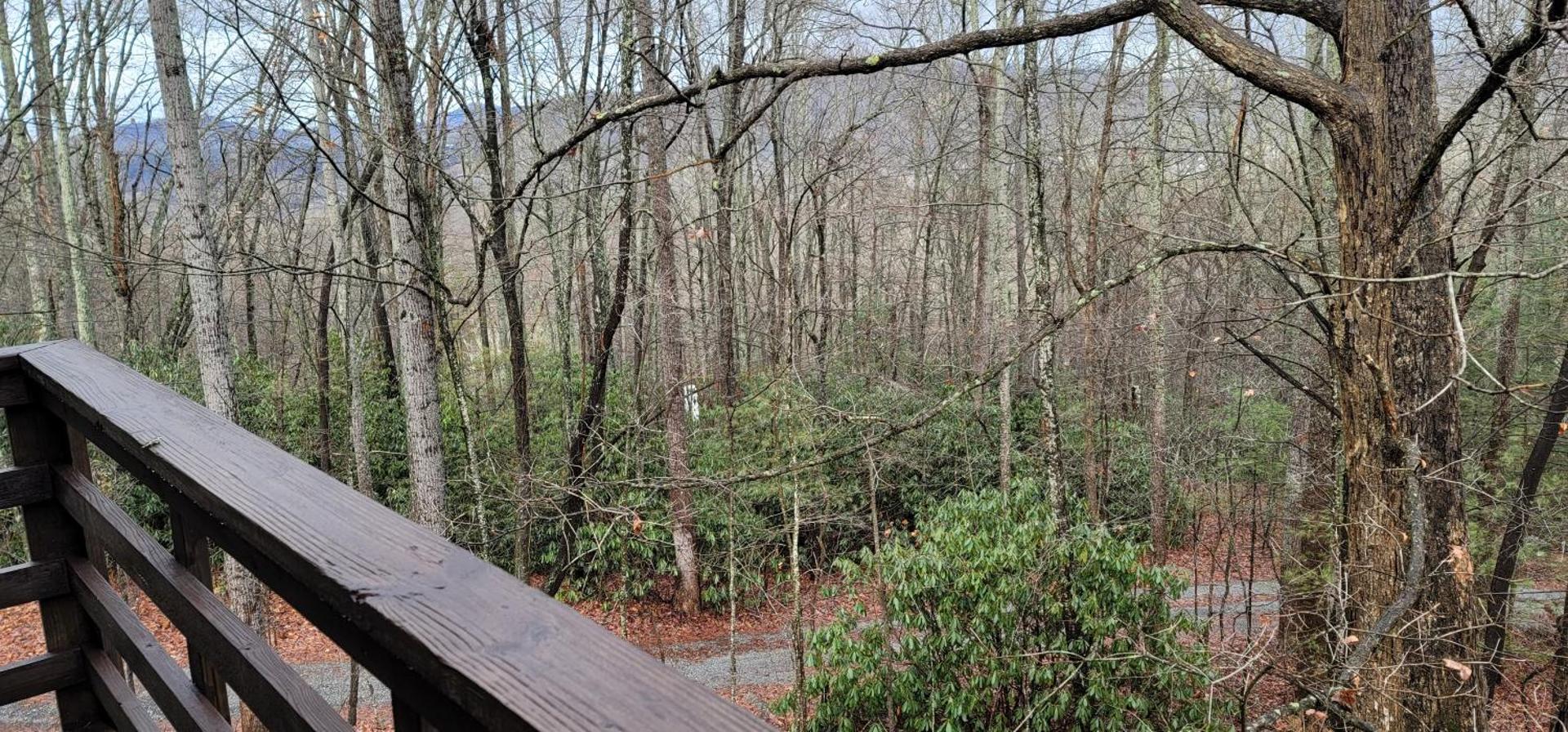 View (from property/room)