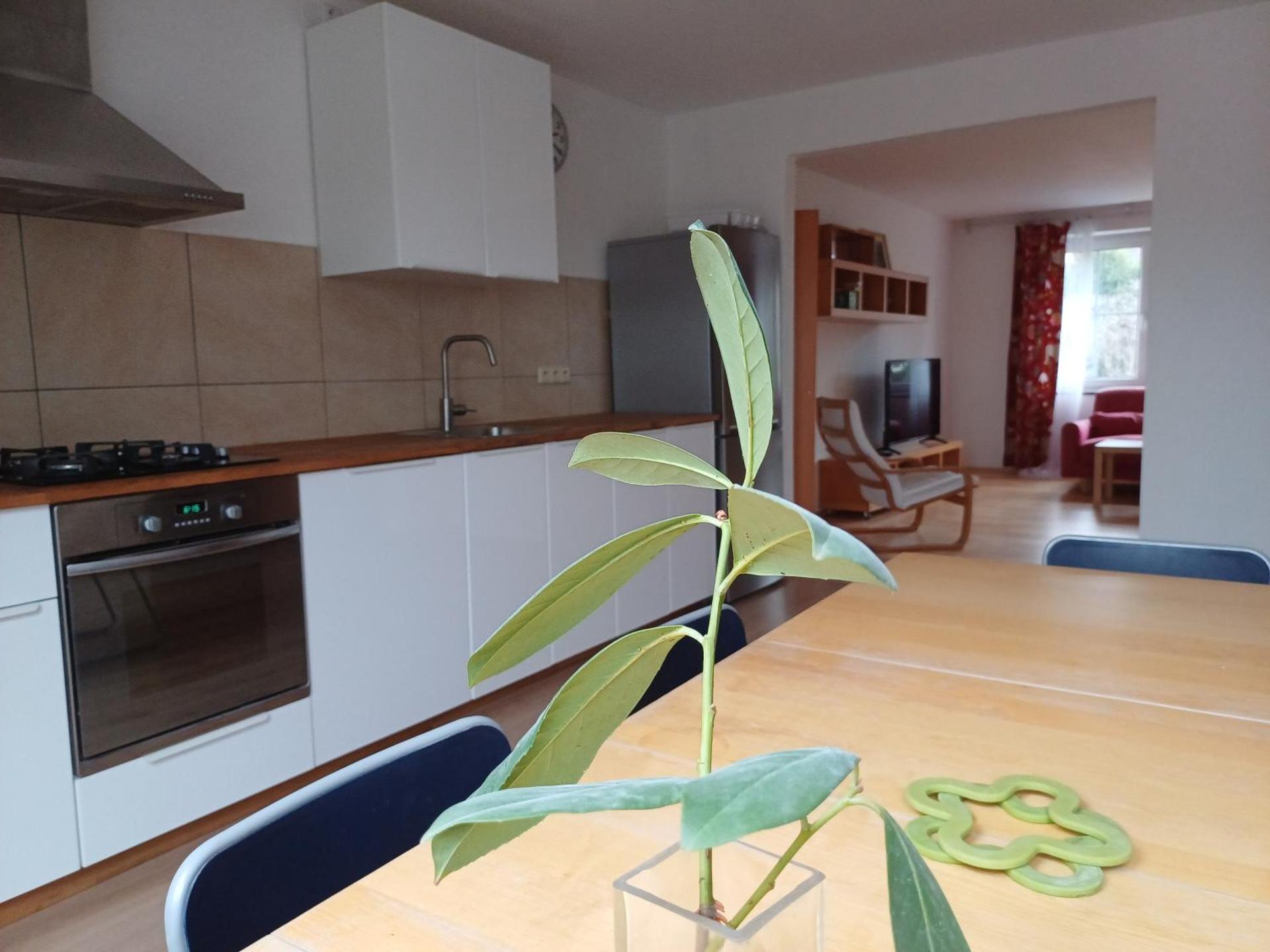 Apartmán Dvořák 194 pod Svatou horou