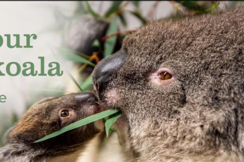 Large historic family home nr Longleat and Bath