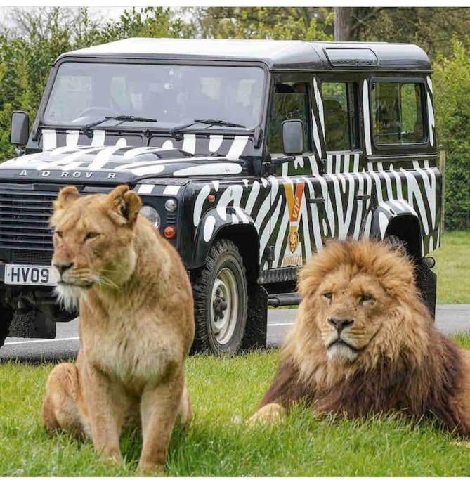 Large historic family home nr Longleat and Bath