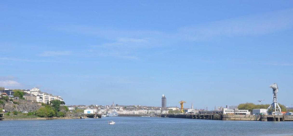 Appartement - Galerie BOTANIC ART Trentemoult