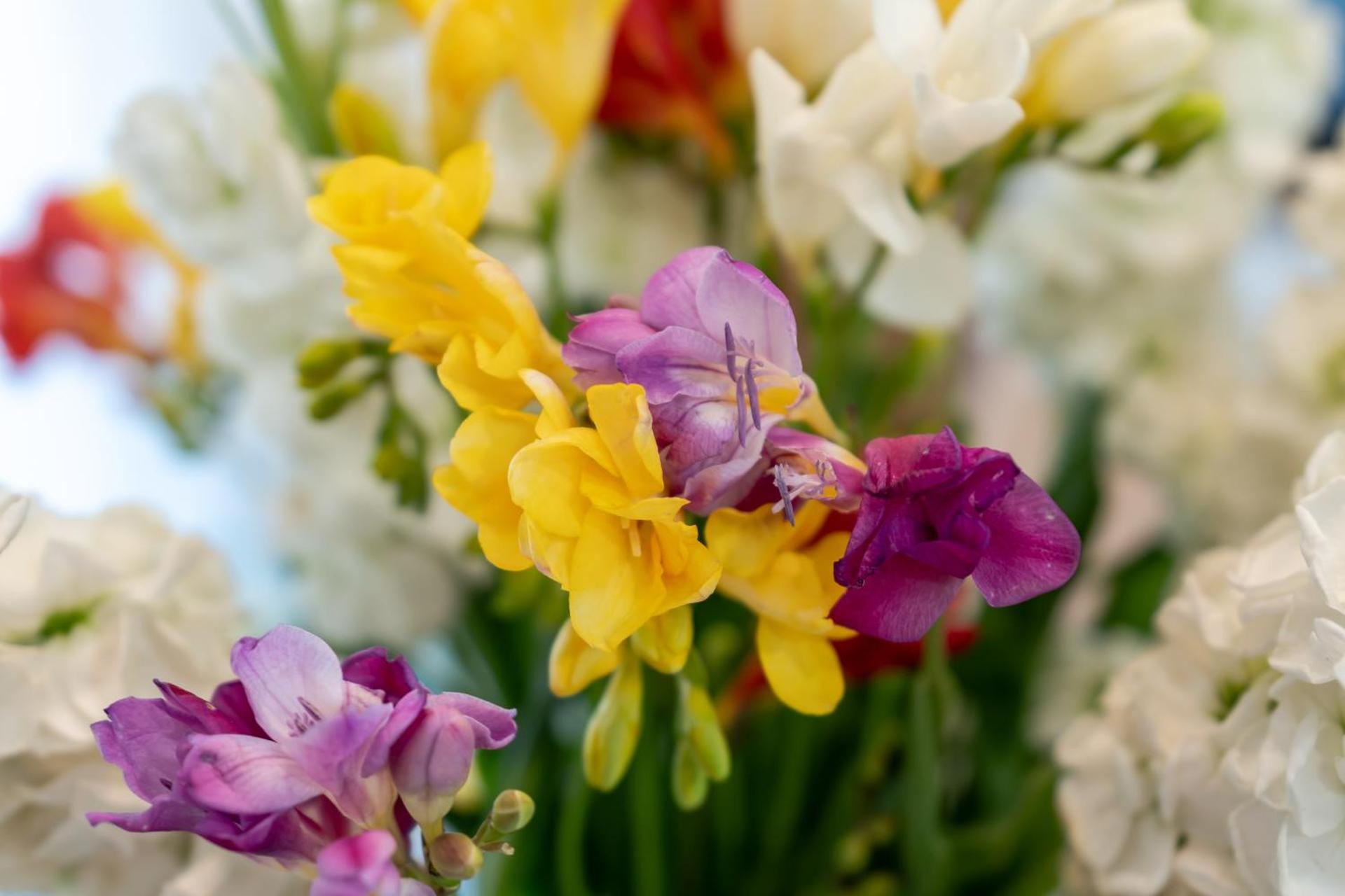 Maiori Apartment by Marcel