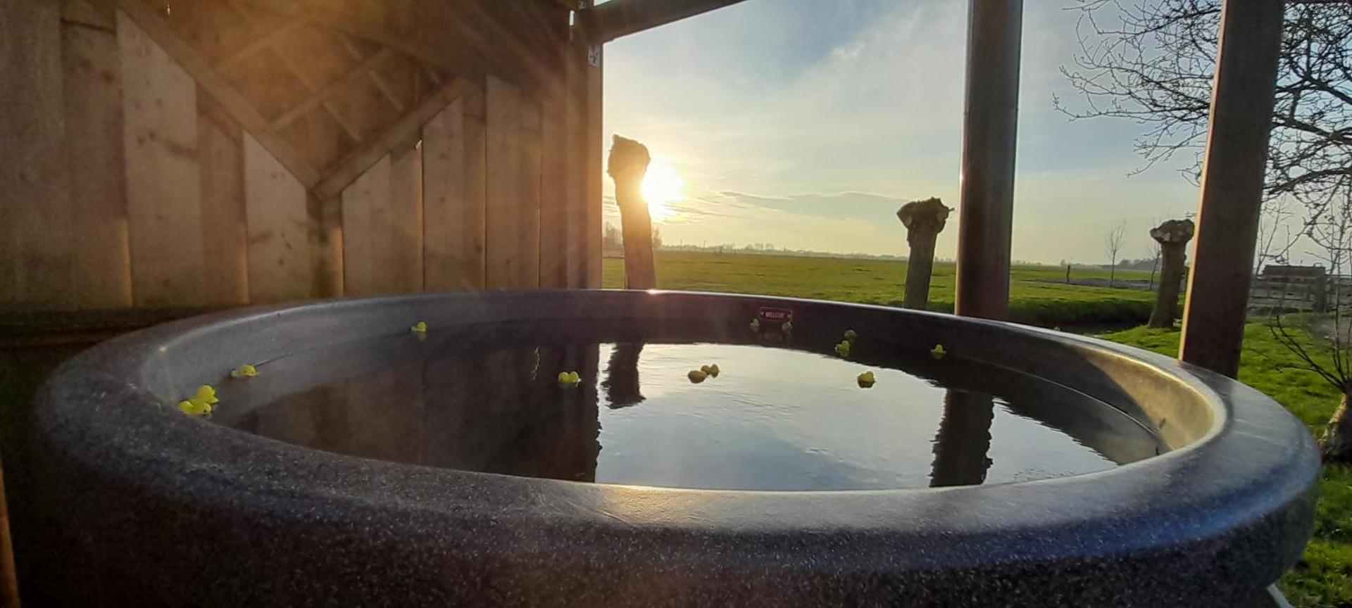 Stacaravan op de paardenboerderij Sneek