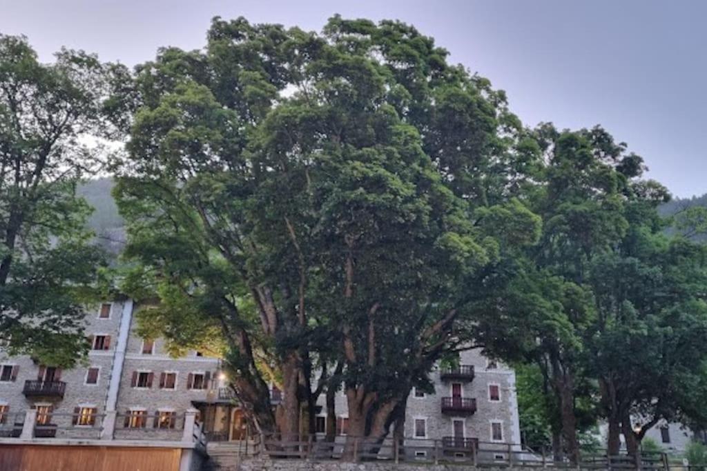 Appartamenti e camere del Re e della Regina - Grand Hotel Ceresole Reale