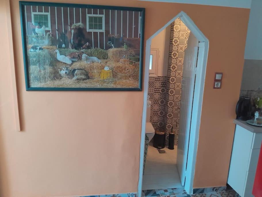 For Your Vacations Only