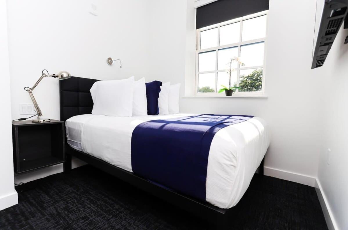 Modern Suite in Fenway Neighborhood