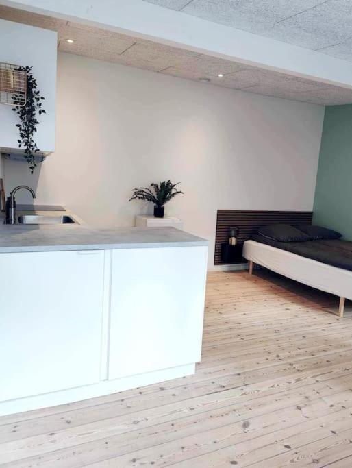 Charmerende bolig nær Domkirken