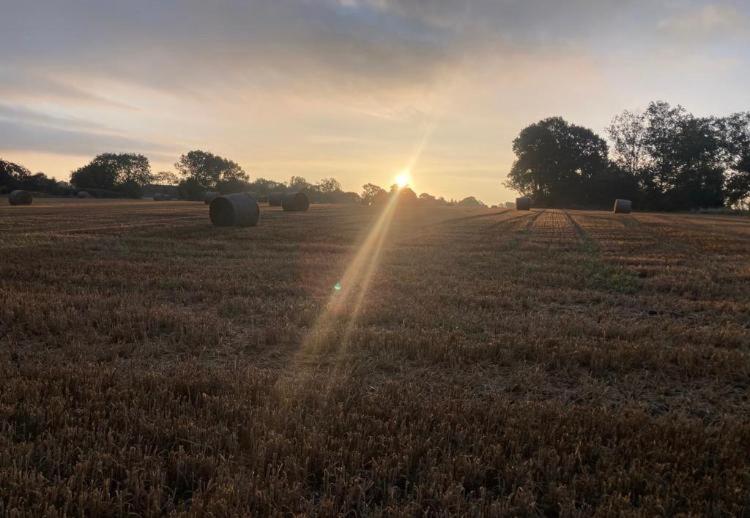 Whiskers and Woods Shepherd Hut
