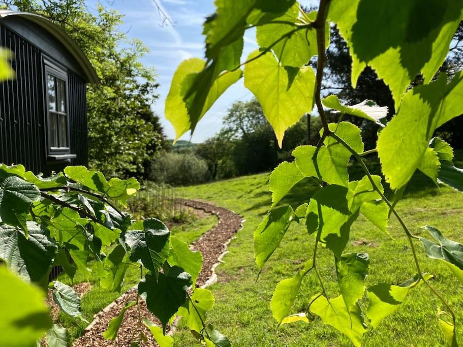 Cornwall Woodland Shepherd's Hut Deirdres Hut