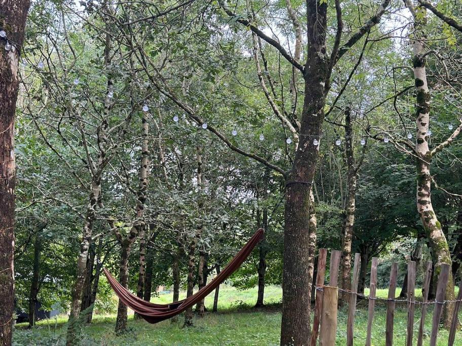 Cornwall Woodland Shepherd's Hut Deirdres Hut