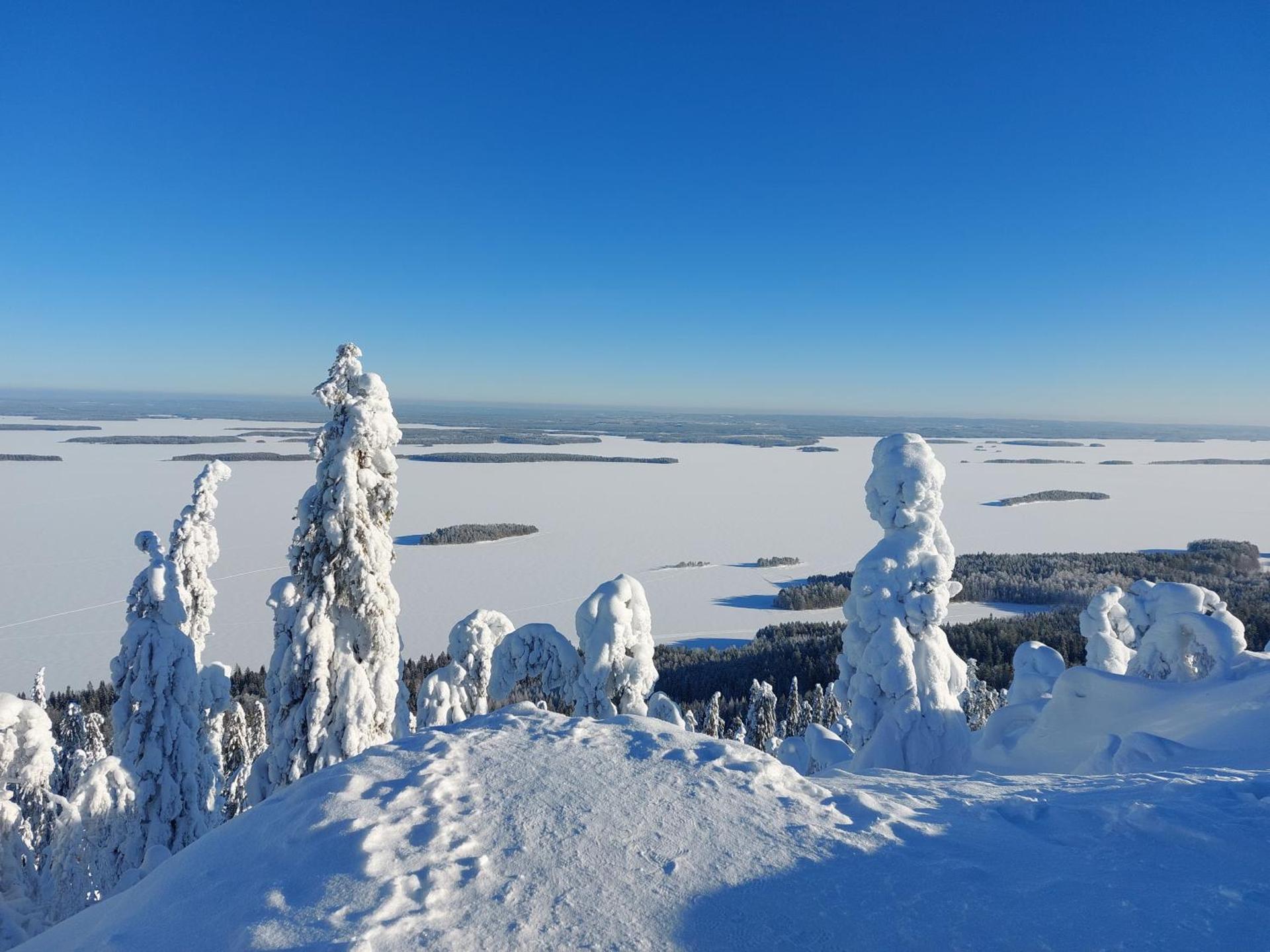 Holiday Home Honkakoli 1