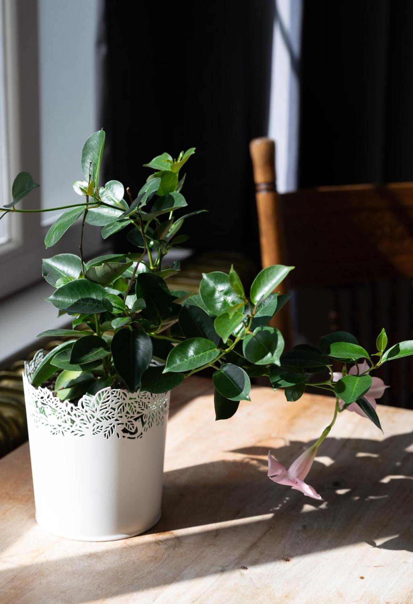 B&B Het Oude Postkantoor