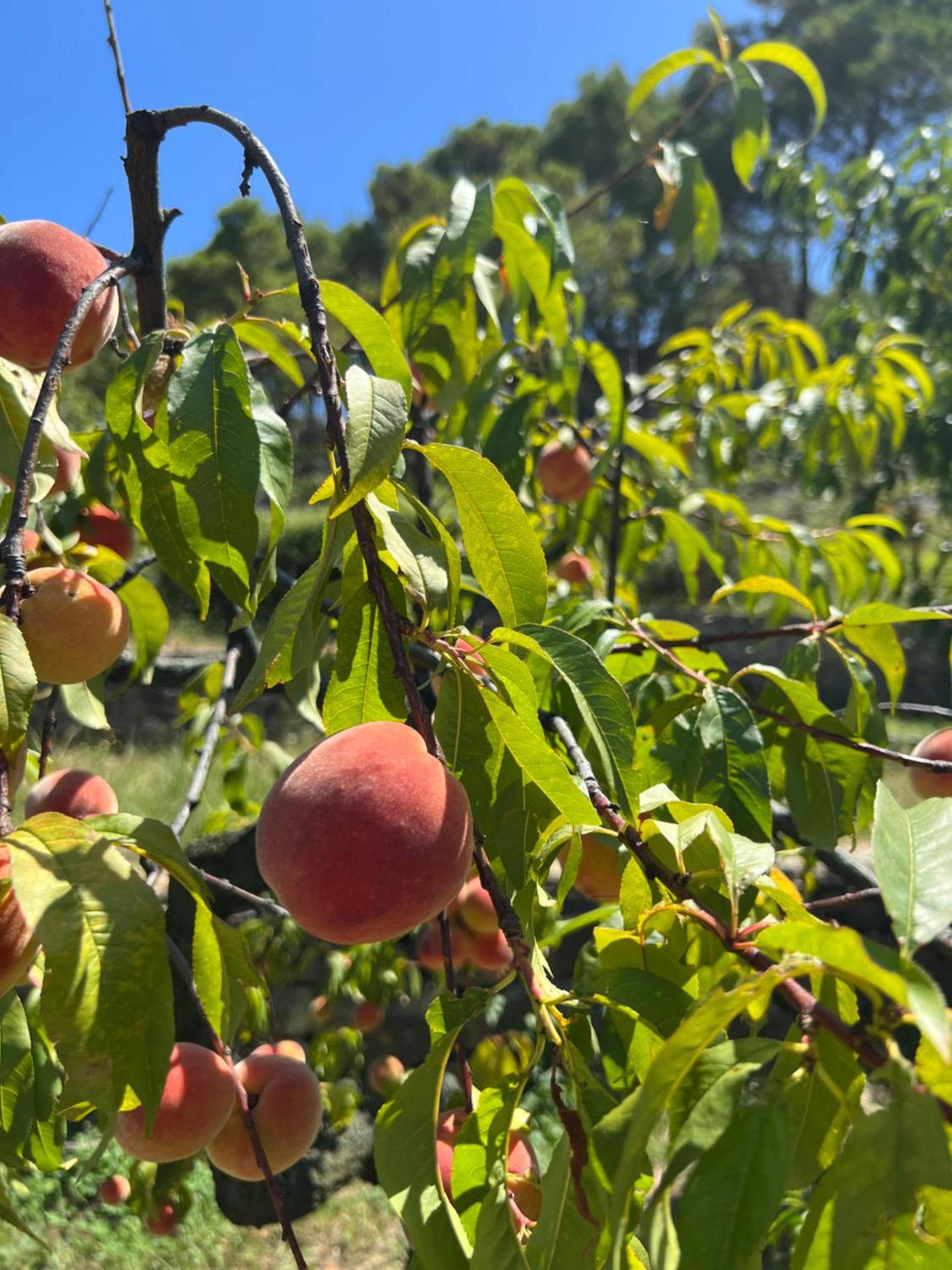 Apartman Barićevi dvori