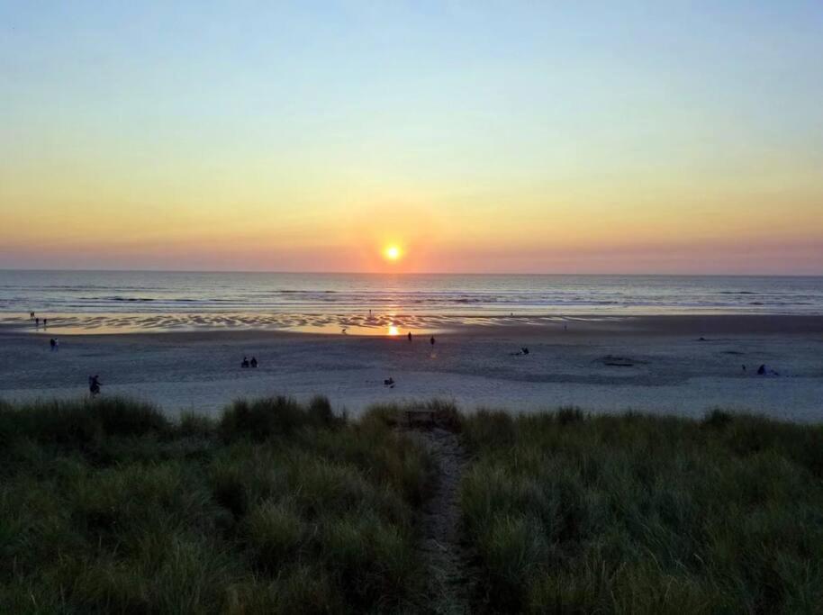 Tiki Escape w/ Amazing Mountain and Marsh Backdrop