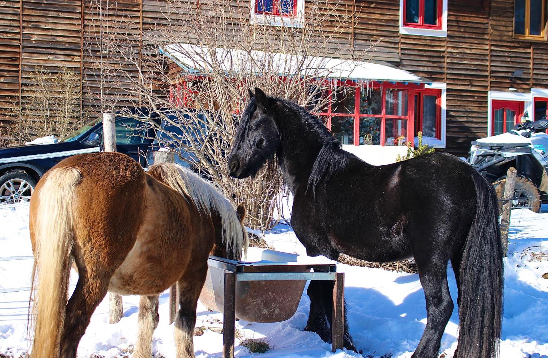 Gîte Ranch Le Serpolet