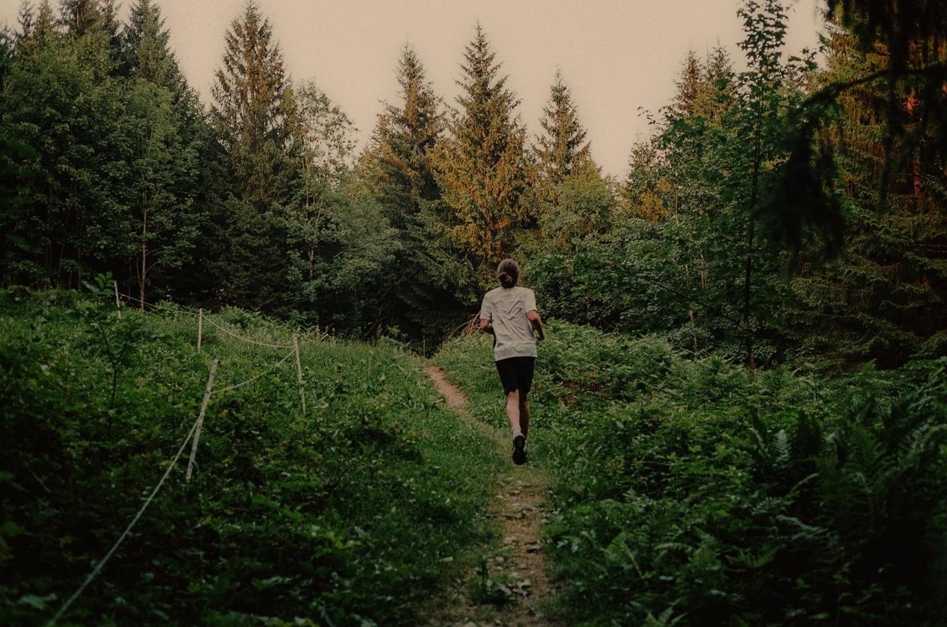 Hirschen - Fine Hotel, Restaurant & Spa