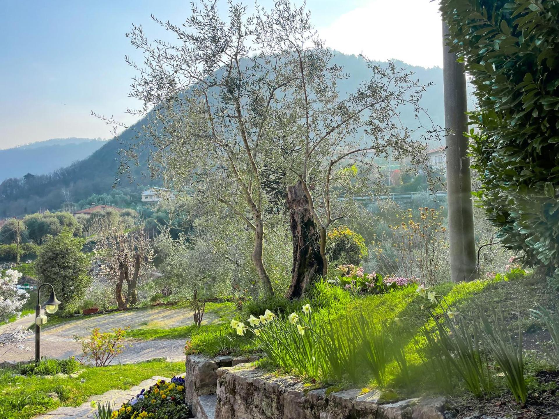 Breva, Loft tra gli ulivi ed il lago