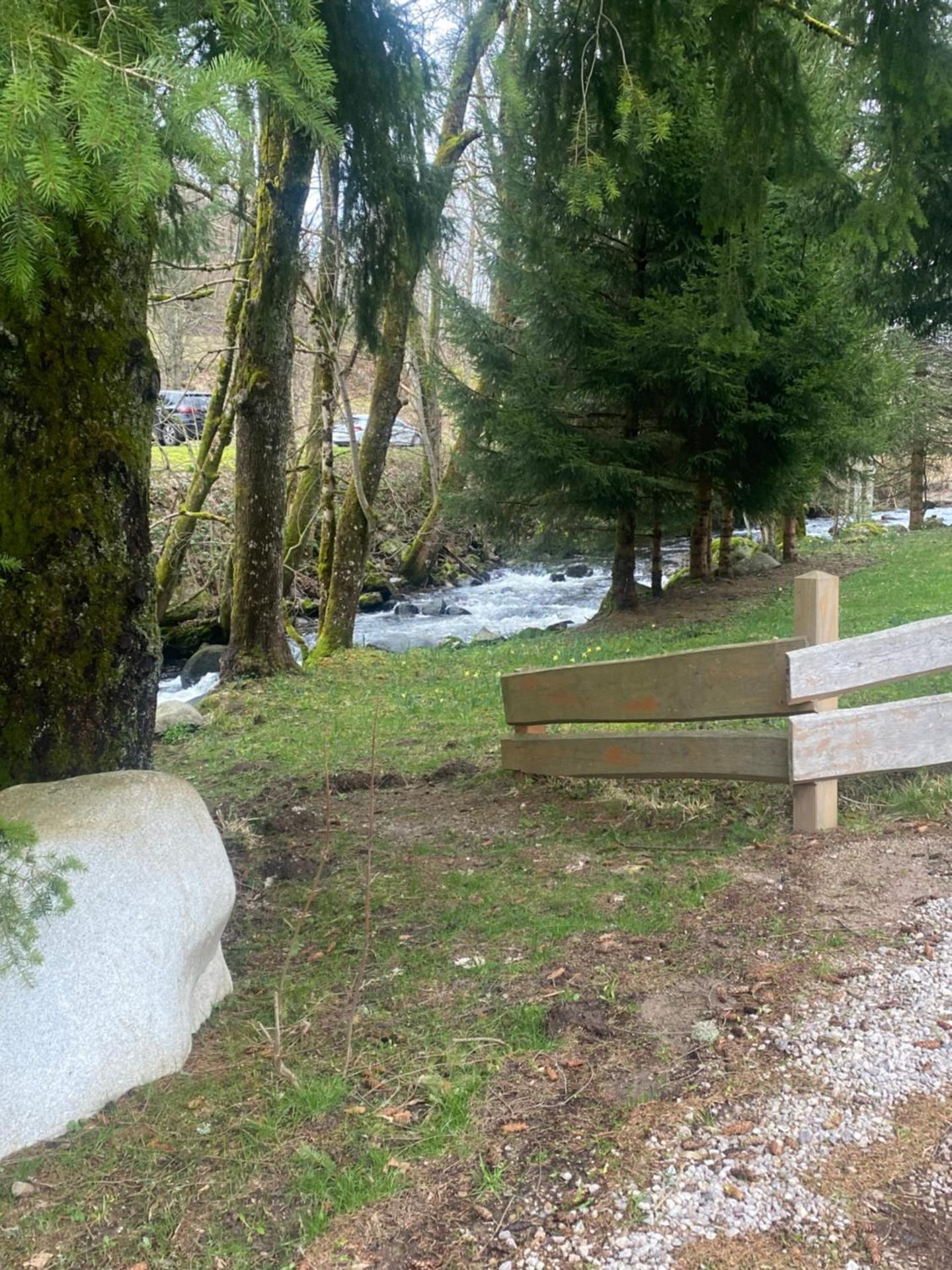 La cabane des écureuils