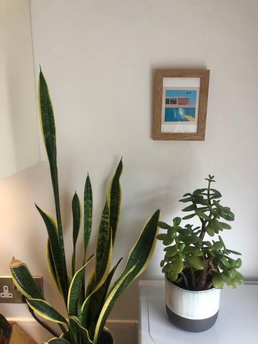 The Loft - Bright apartment centre St Ives sleep 4