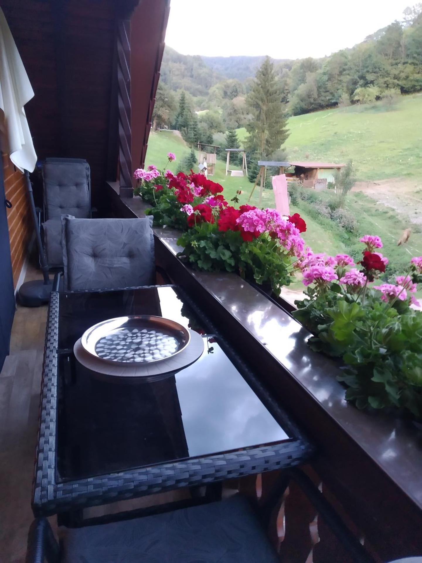 Ferienwohnung Sonnenblick