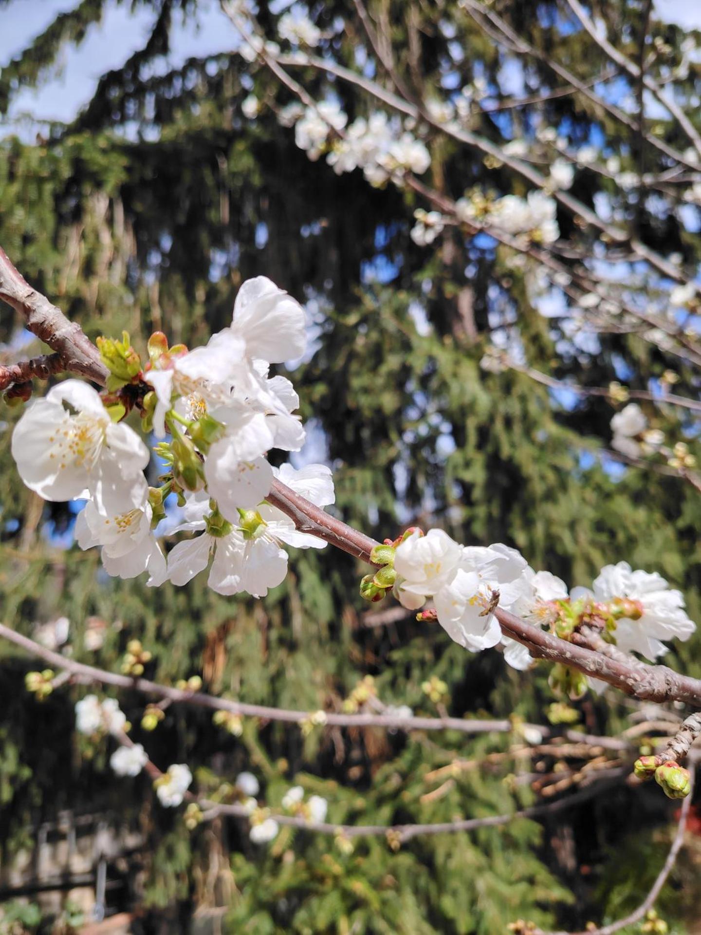 Hébergements à La Rive, Accueil ouvert tous les jours jusqu'à 20h00 dernier délai, depuis 30 ans ! Réserver ici svp ! Merci ! Aucun règlement à distance accepté, Paiement par CB, Espèces, Chèque ou Chèques-Vacances impérativement à la remise des clefs !