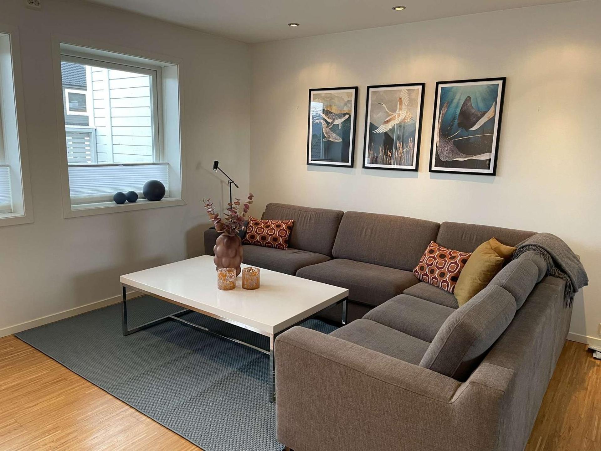 Moderne rekkehus, god standard.