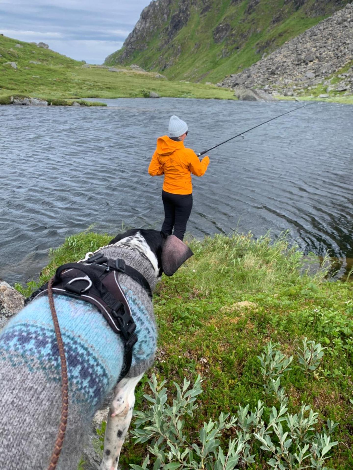 Liten leilighet med to soverom