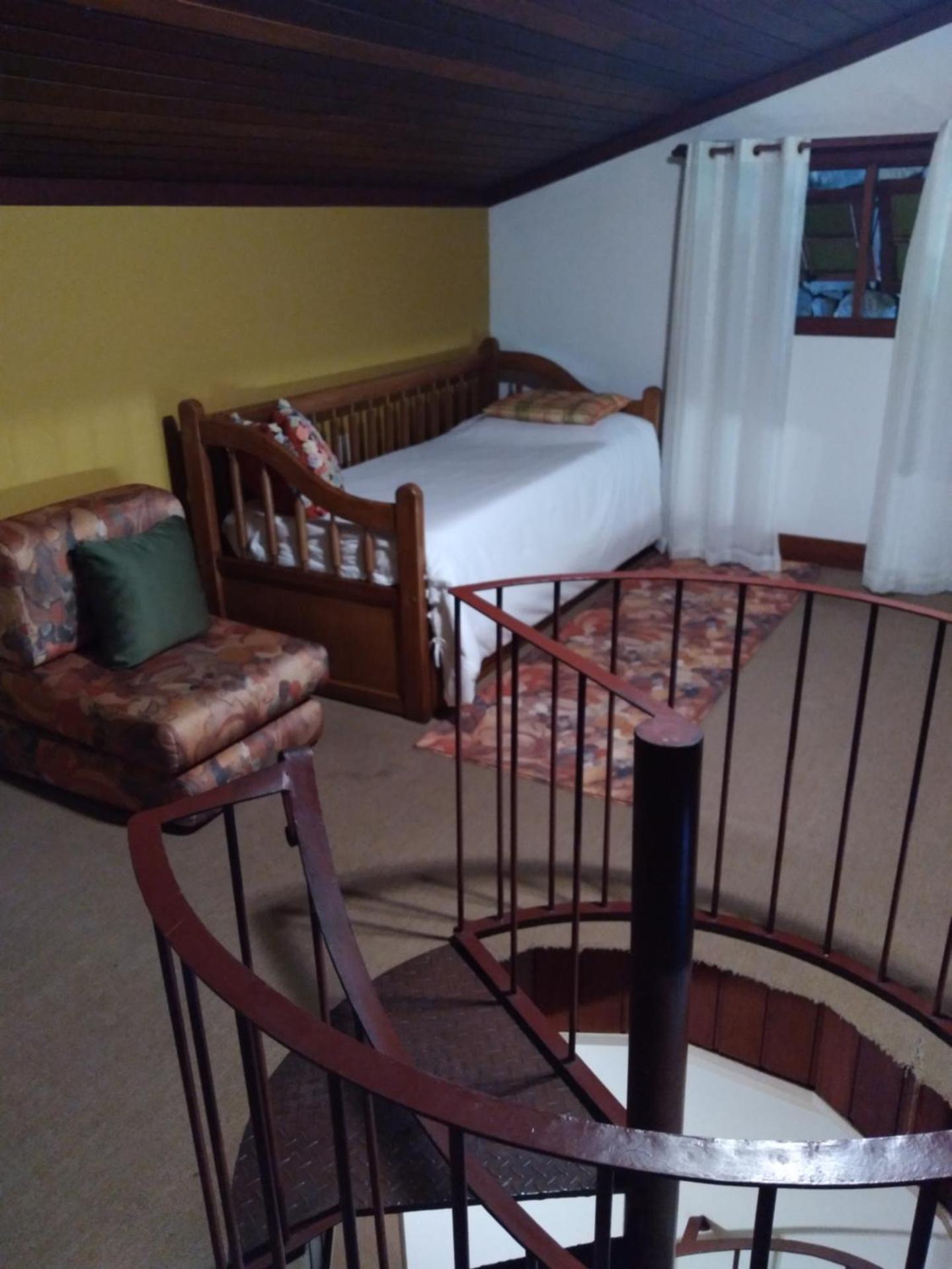 Bromélia Sabiá & Cia