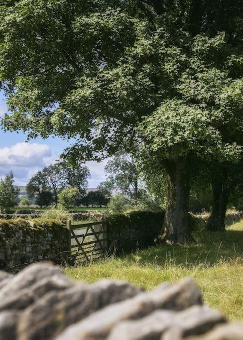 White Cottage deluxe 2 bedroom apartment