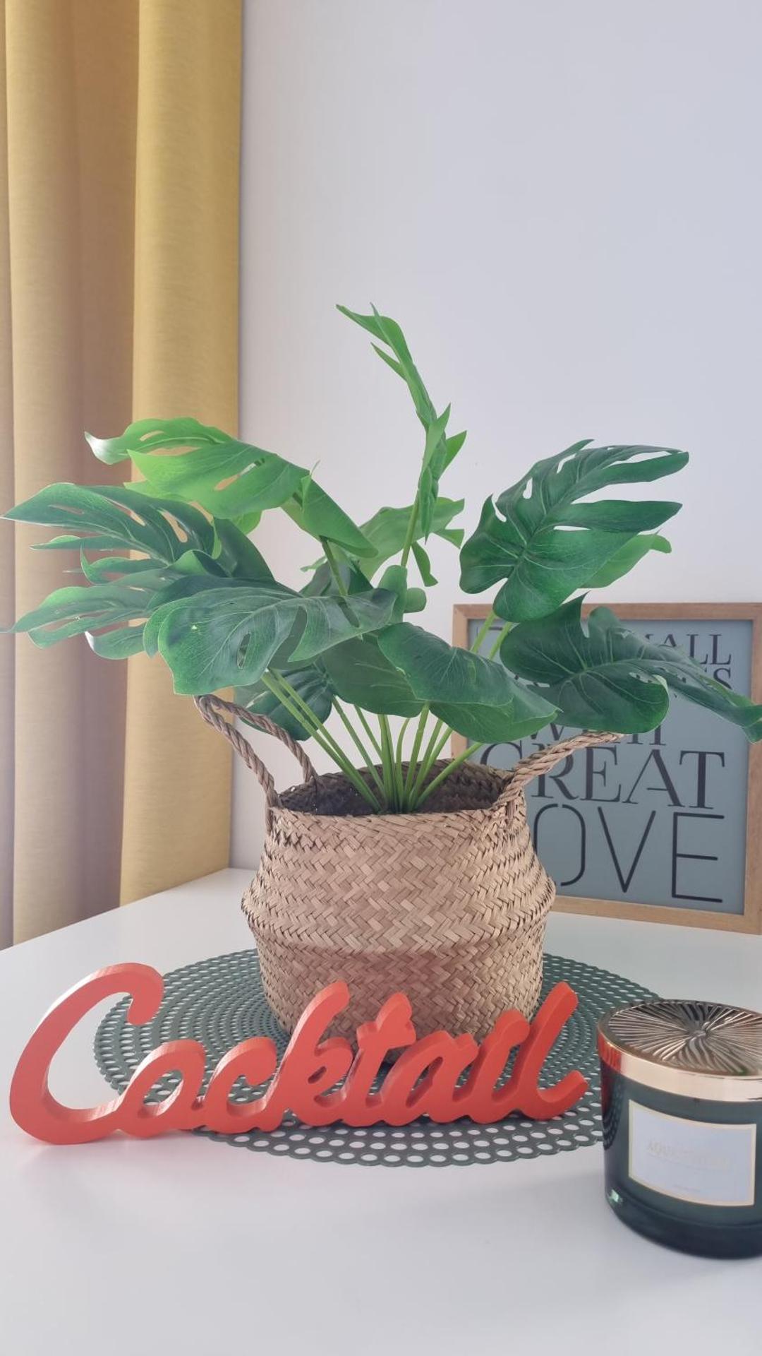 Le 36 - Maison COSY - Jardin privatif