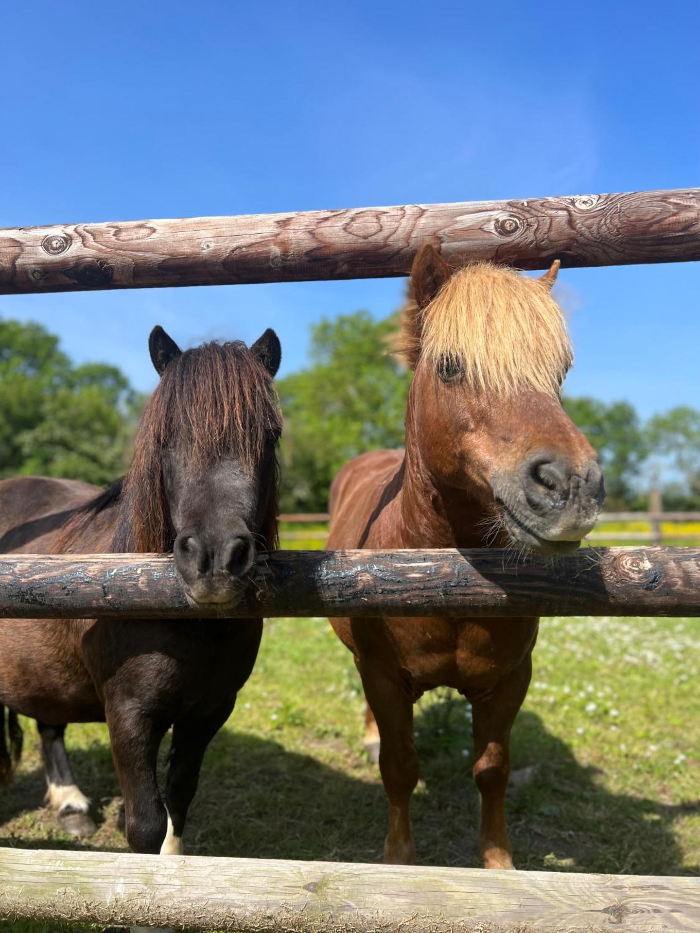 L'atelier, dépendance de charme, Ste Mère Église