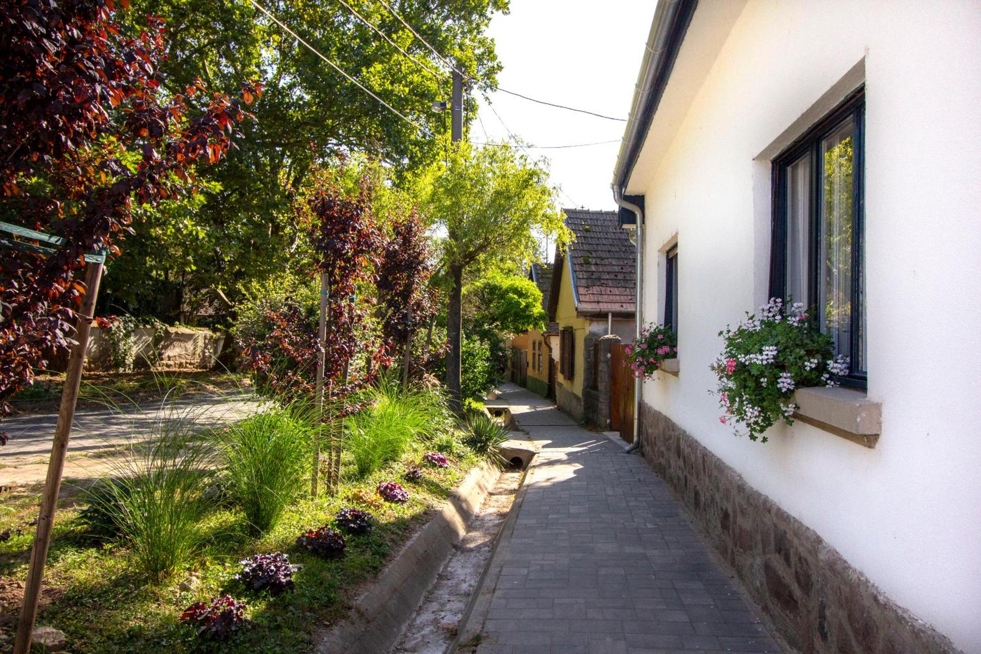 Diófa Vendégház, Zebegény