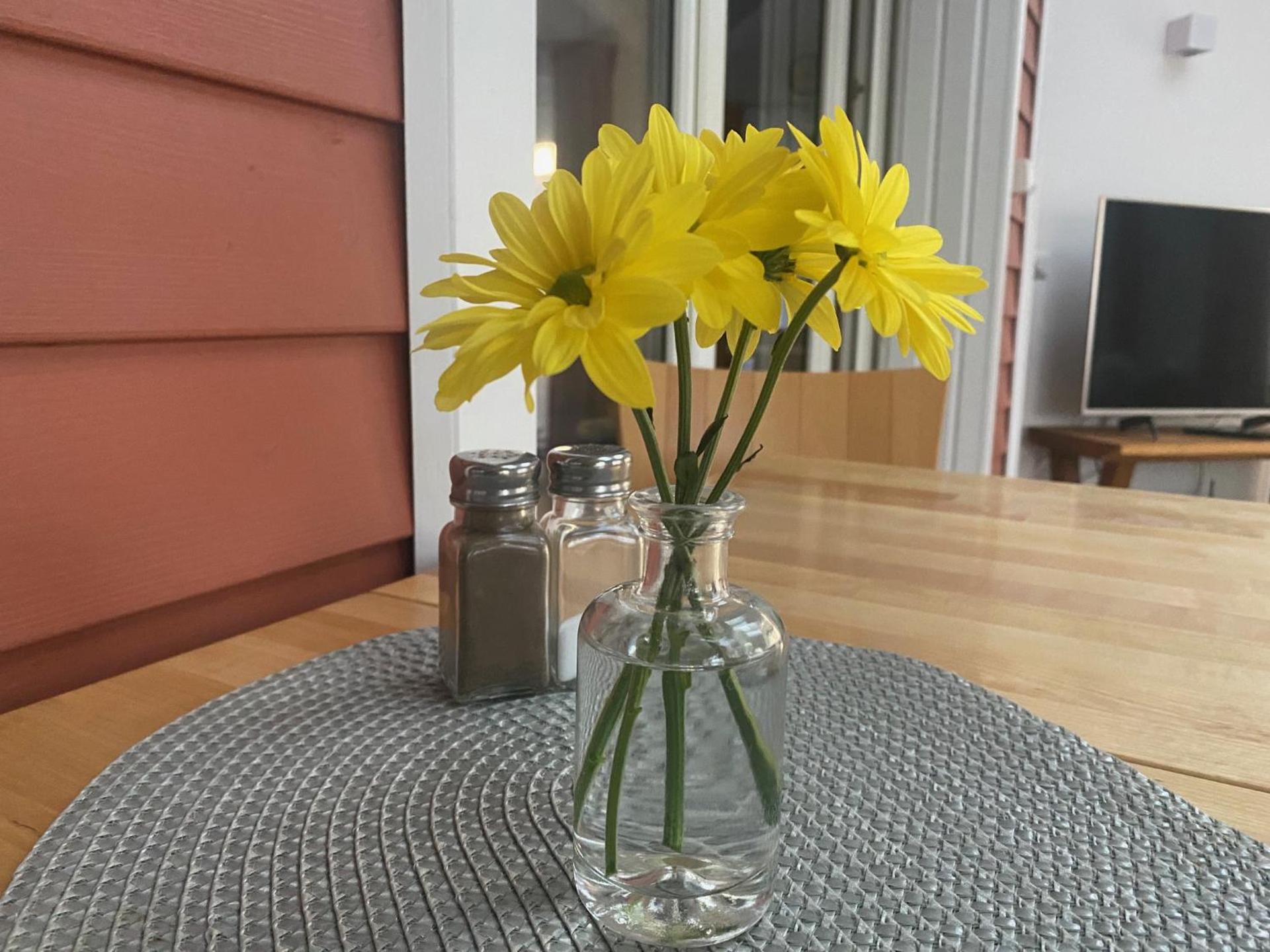 Moderne Ferienwohnung mit Kamin u Garten im EG 100qm Nähe Weser und Golfplatz