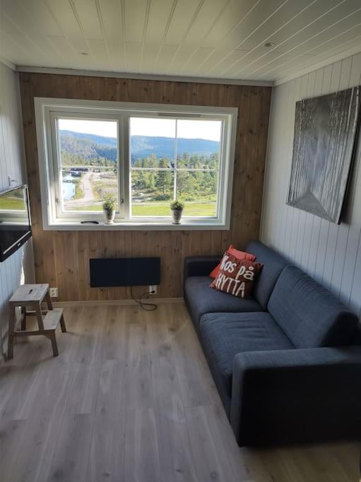 Utleieleilighet 4 sengeplasser Ski inn og ut