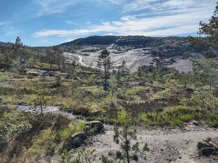 Utleieleilighet 4 sengeplasser Ski inn og ut